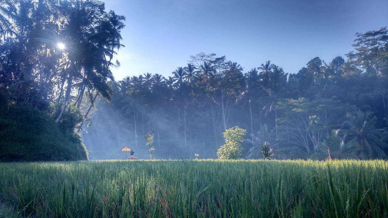 Griya Sriwedari Hotel Ubud  Exterior photo