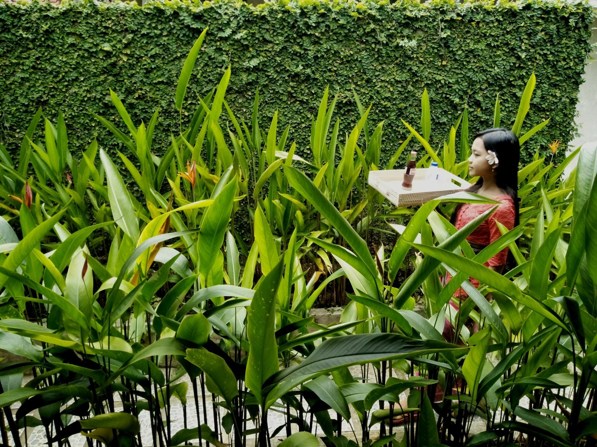 Griya Sriwedari Hotel Ubud  Exterior photo